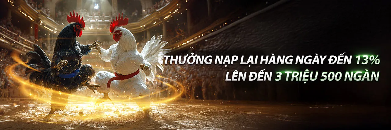 Hình ảnh tổng quan về ok9aa nhà cái, nền tảng giải trí trực tuyến hàng đầu Việt Nam