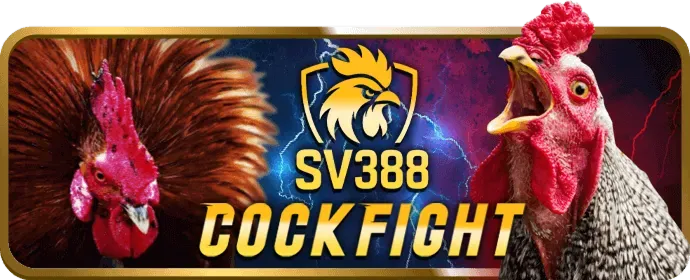 Chơi ok9aa trên PC